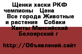 Щенки хаски РКФ чемпионы › Цена ­ 90 000 - Все города Животные и растения » Собаки   . Ханты-Мансийский,Белоярский г.